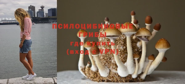прущий лед Заводоуковск