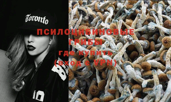 синтетический гашиш Заволжье