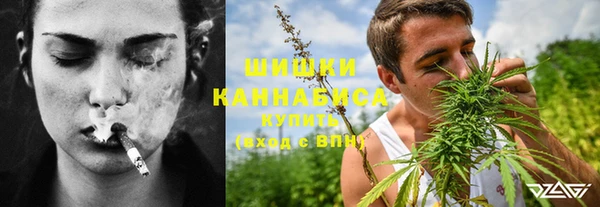 гидра Зеленодольск