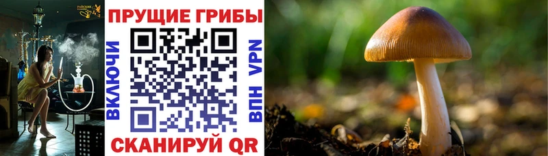 Галлюциногенные грибы мухоморы  omg онион  Пыть-Ях  где продают  