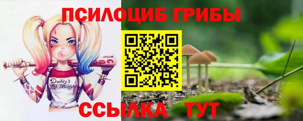 Галлюциногенные грибы Psilocybine cubensis Пыть-Ях