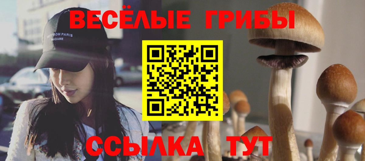 Псилоцибиновые грибы ЛСД  Вход с VPN  где купить наркоту  Пыть-Ях  Псилоцибиновые грибы Psilocybe 